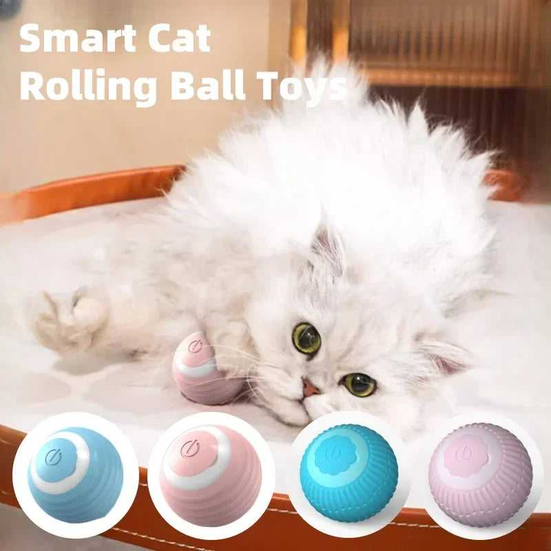 Cat Anxiety Ball